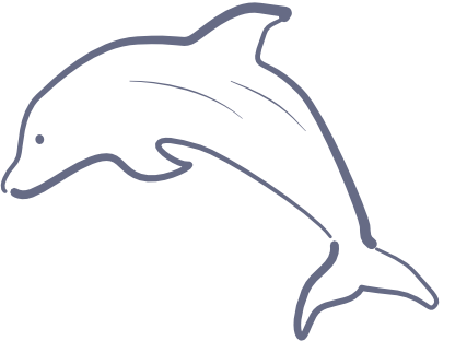 dolphin illustration graphic