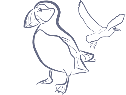 puffin illustration graphic